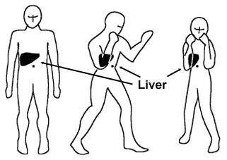 self defense stance fighting position tip real survival defence block tips punches techniques forearms elbows shifts minimal use worst shield